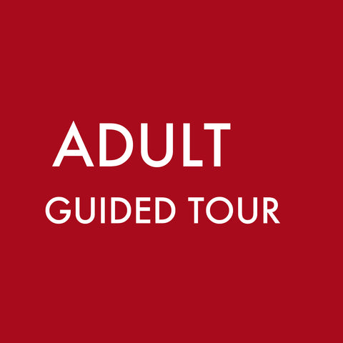 Guided Tour Group (Adult)