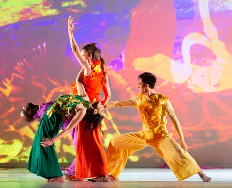 The Seldoms Dance Performance: An evening of dance inspired by the earth