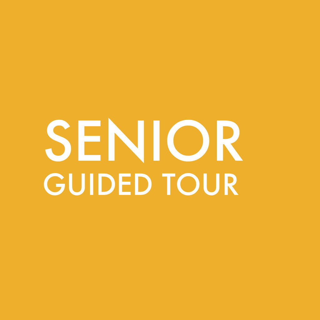 Guided Tour Group (Senior)